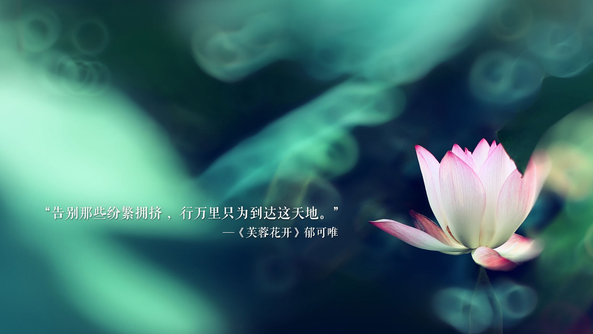 体育场馆绿色节能技术，绿色体育馆的奇特之处