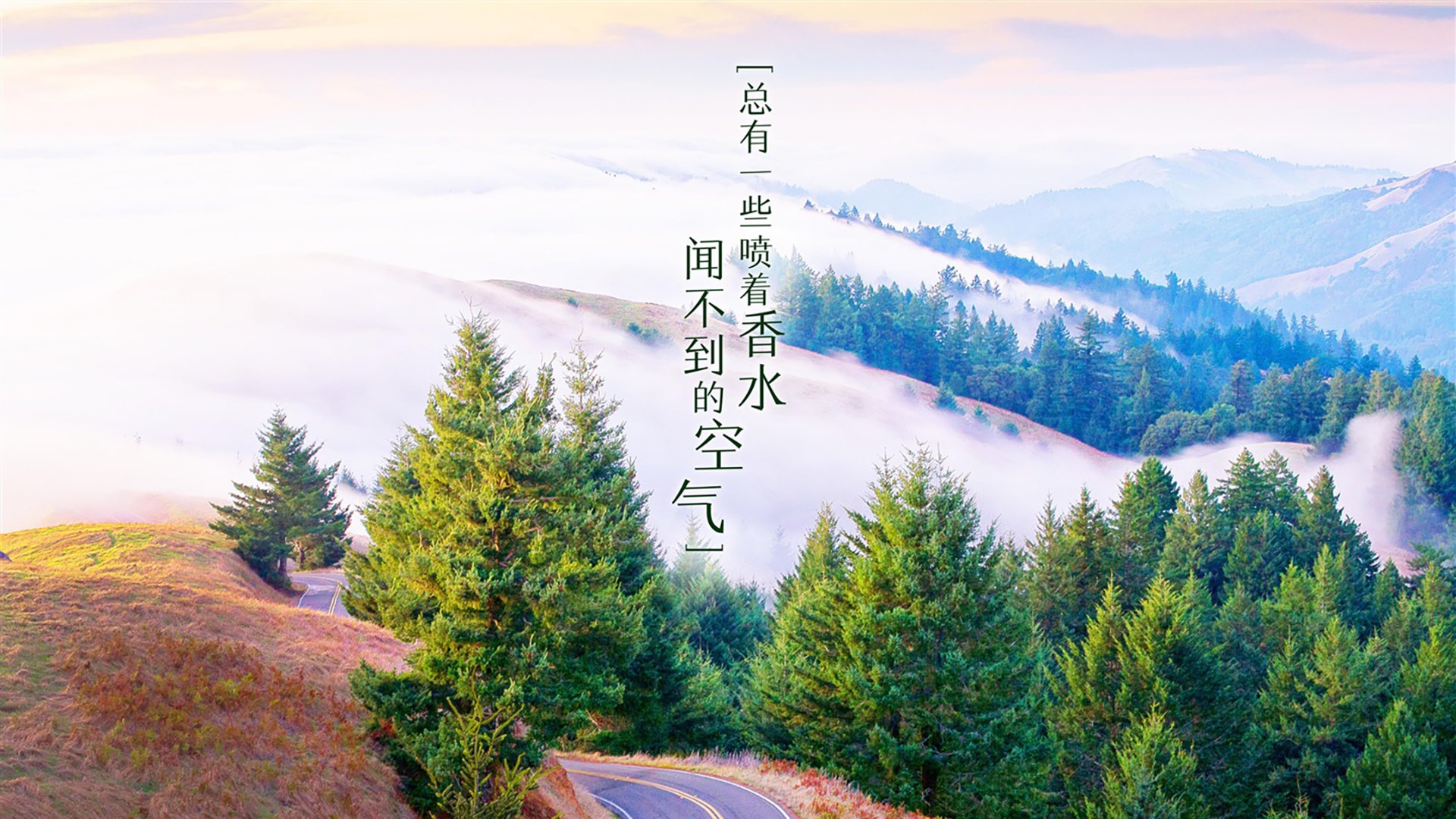 高校体育教师绩效考核体系优化建议，学校体育教师考核方案