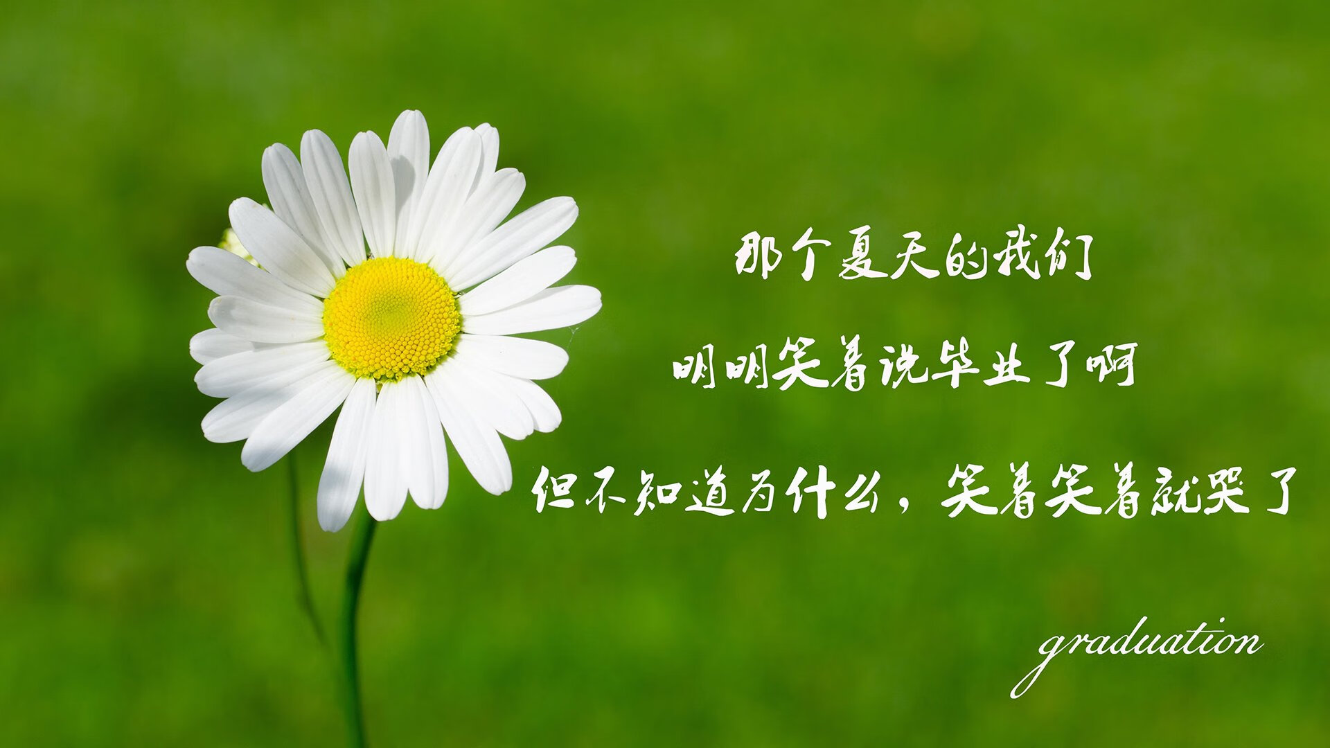 200蝶终点冲刺动作节奏解析