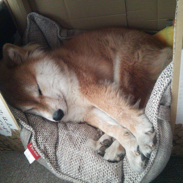 中小学体育课程内容丰富多样,中小学体育课的重要性