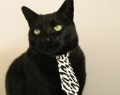 从中超联赛看中国足球 热血走势凸显希望,中超足协杯赛程2021