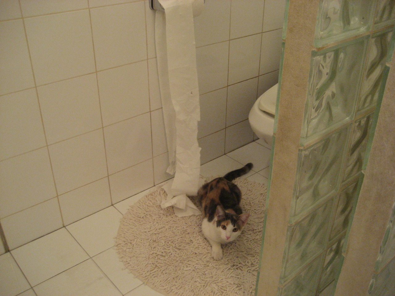 年轻球员心态波动大心理训练不可忽视，球员倾向