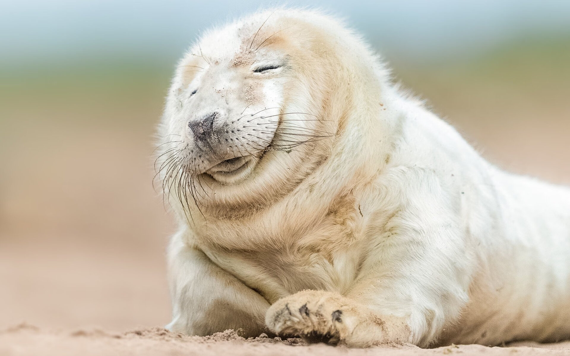 罗马门前把握机会稳健拿下胜利，罗马门口