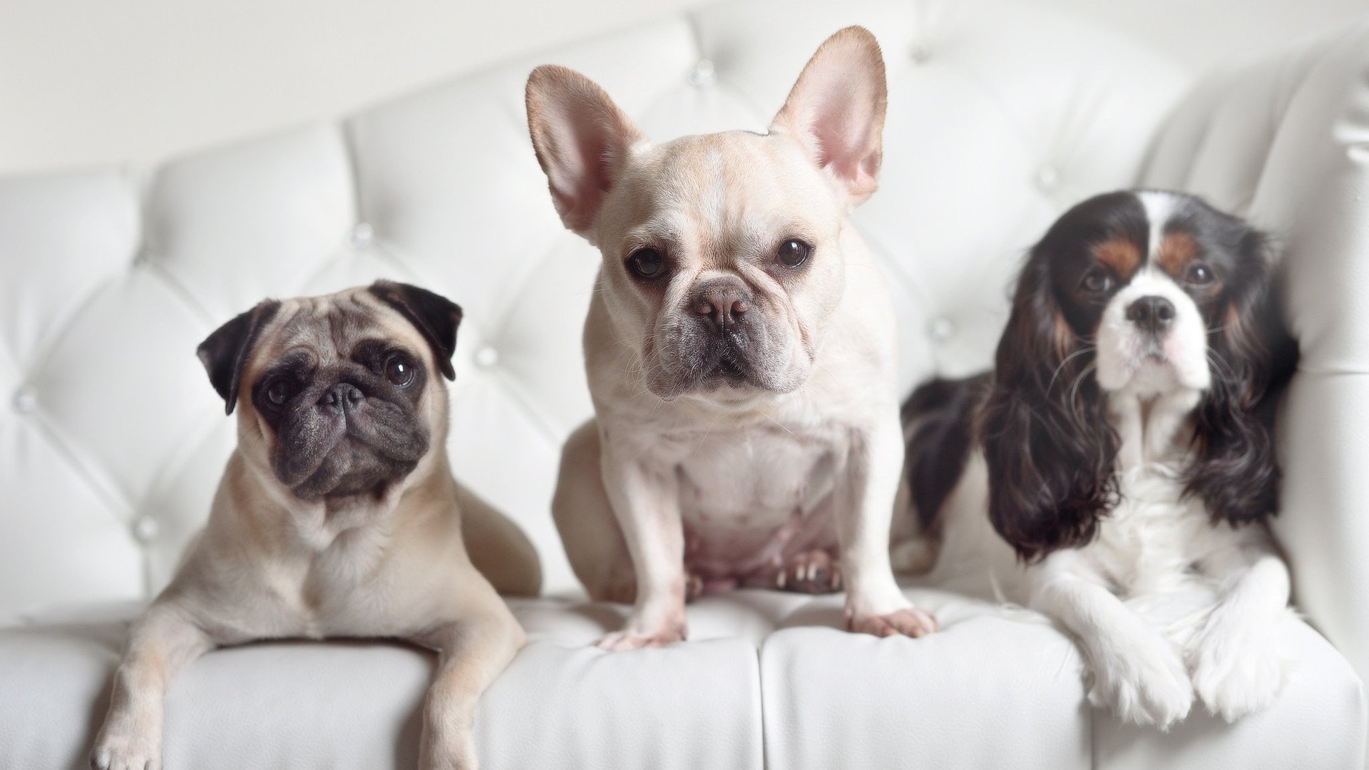 足球青训基地扩建推进区域梯队整合，足球青训梯队试训