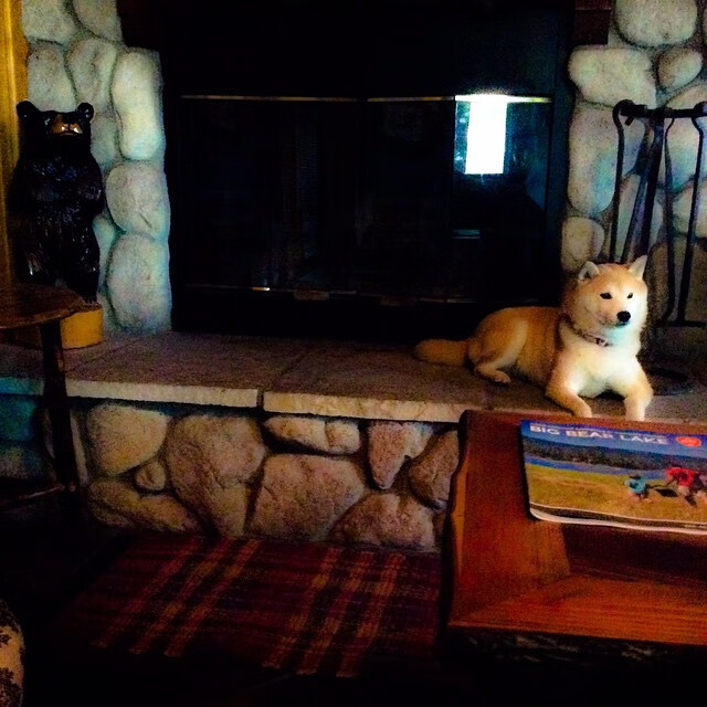 全国篮球训练中心挂牌推动人才集中培养，国家篮球队训练基地