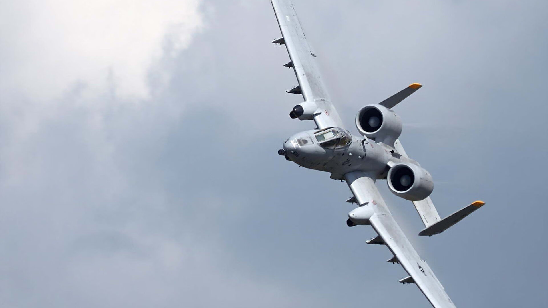 凯蒂·莱德基冲线时刻引爆现场欢呼，凯蒂莱德基训练方案